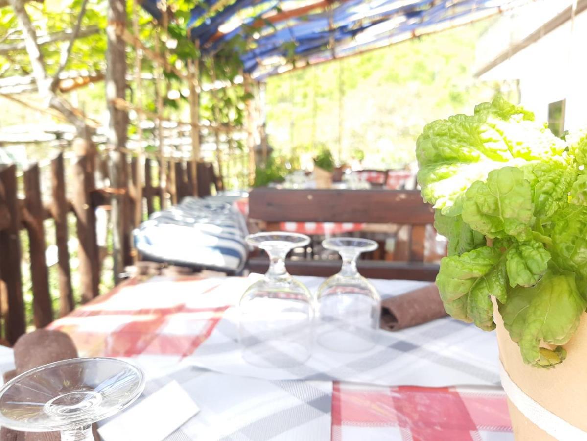 Agriturismo Il Pettirosso Agerola Exteriér fotografie