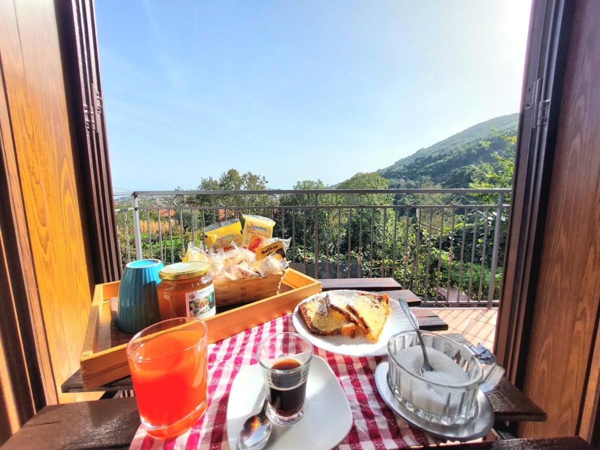 Agriturismo Il Pettirosso Agerola Exteriér fotografie